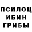 Галлюциногенные грибы прущие грибы zekiepta roromka
