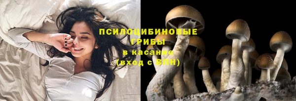 герыч Аркадак