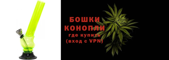 шишки Армянск