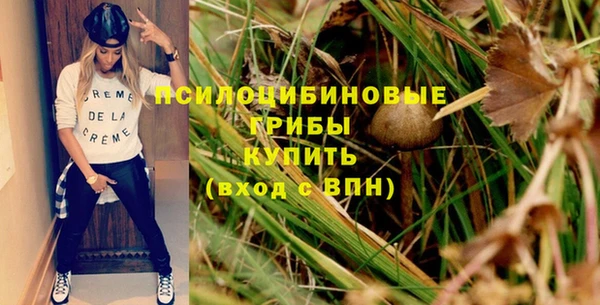 дмт Алексеевка