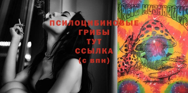 трава Арсеньев