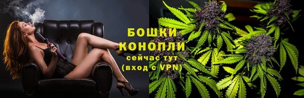 шишки Балахна