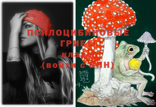 прущие грибы Балабаново